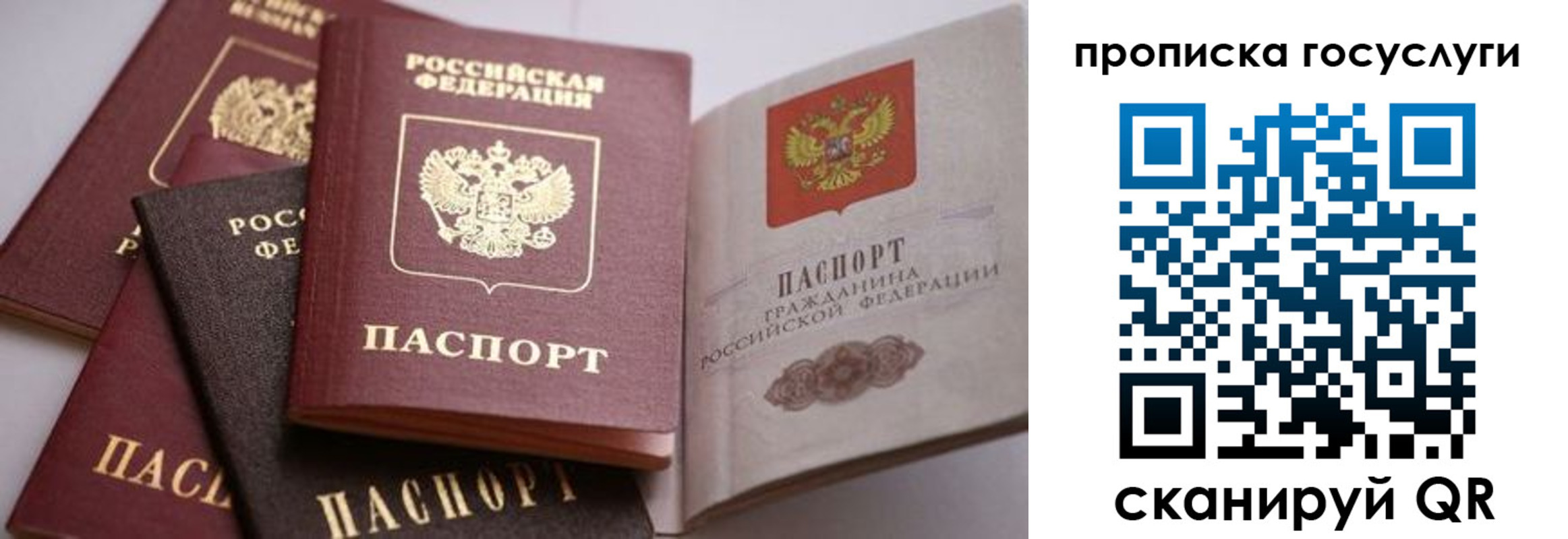 прописка иностранных граждан в Боровичах
