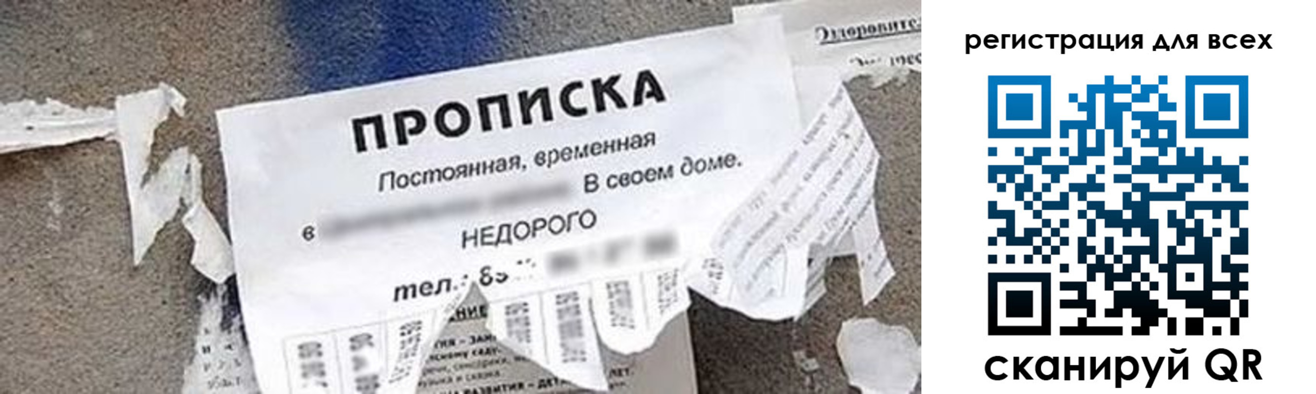 прописка поиск в Боровичах